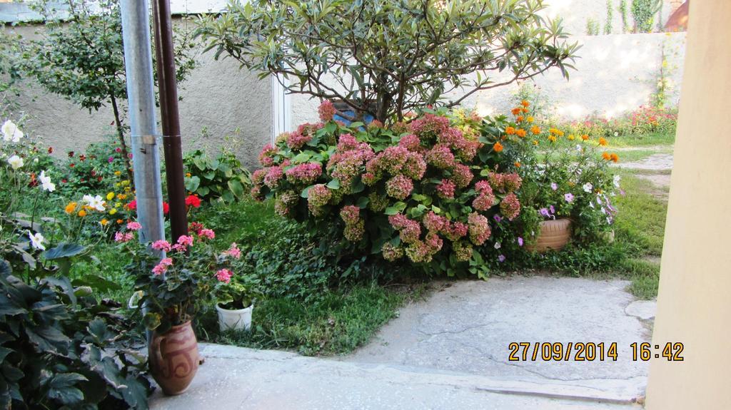 Tinikos Guest House Telavi Exterior foto