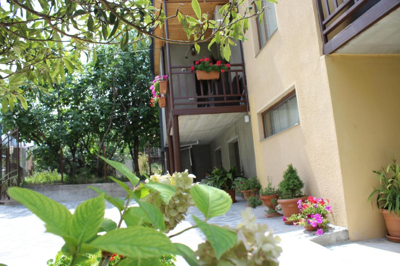 Tinikos Guest House Telavi Exterior foto