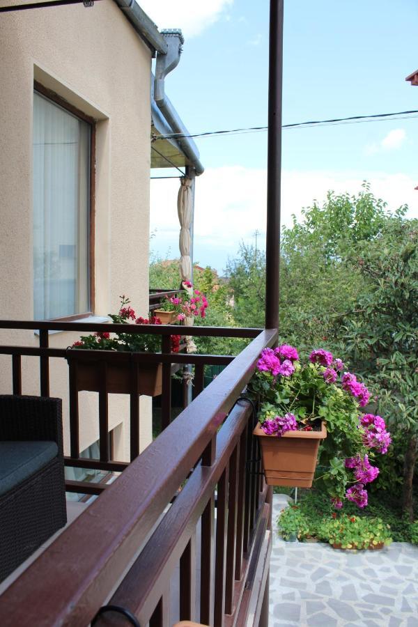 Tinikos Guest House Telavi Exterior foto